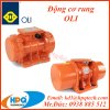Động cơ rung OLI - Nhà cung cấp OLI Việt Nam